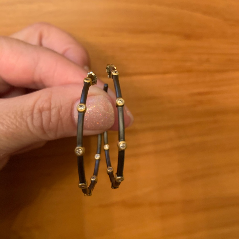 Frida Rothman Hoop Earrings